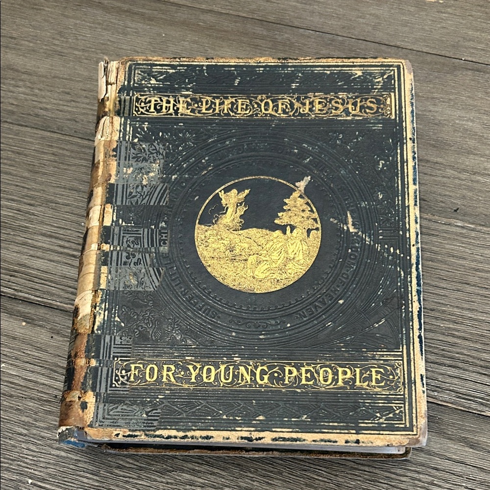 Rare antiquarian book The Life of Jesus for Young People. Illustrated 1874